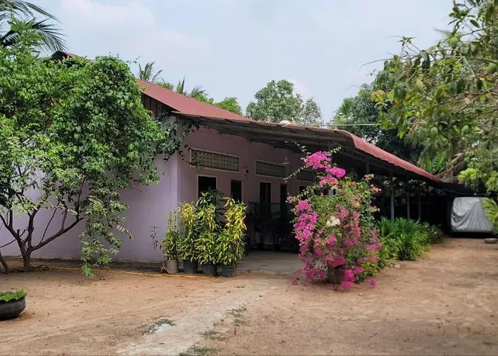 The Purple House