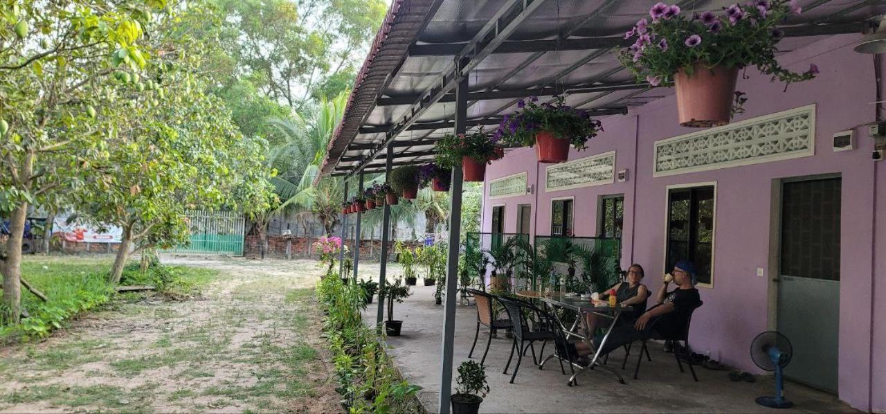 The Purple House *