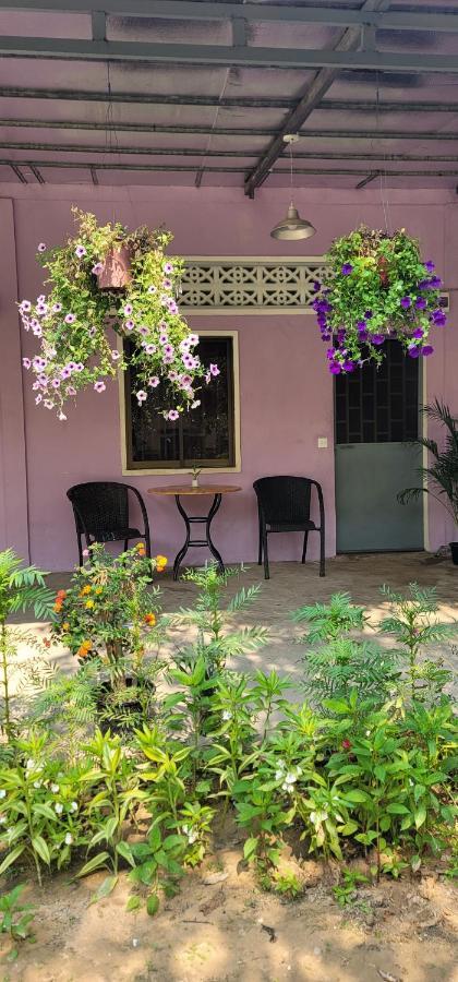 Privatunterkunft The Purple House *